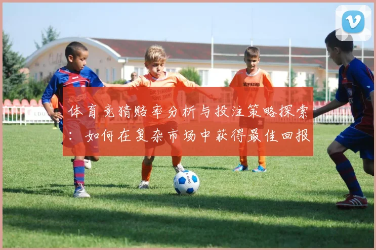 体育竞猜赔率分析与投注策略探索：如何在复杂市场中获得最佳回报