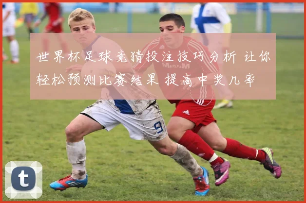 世界杯足球竞猜投注技巧分析 让你轻松预测比赛结果 提高中奖几率